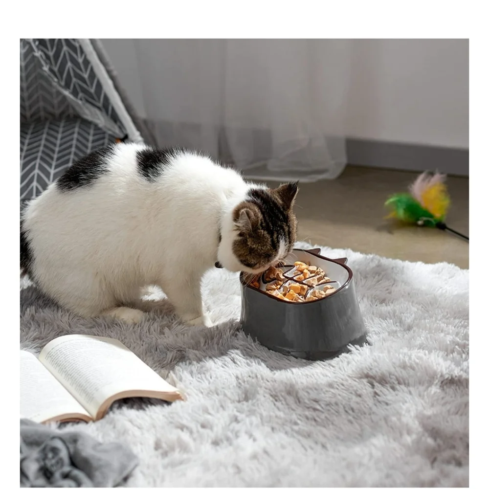 Y YHY Ceramic Fish Bone Slow Feeder Elevated Tilted Neck Protection Dry/Wet Food